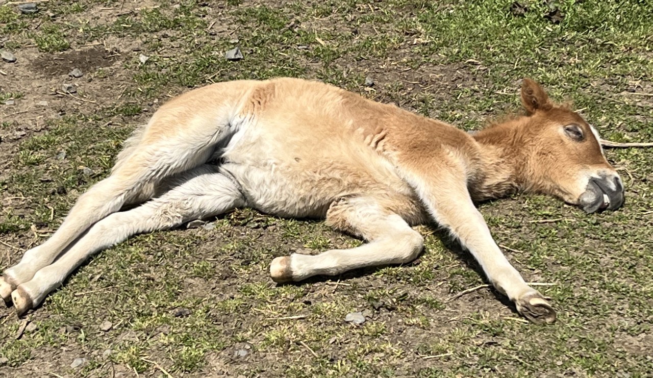 筋肉痛の解消法